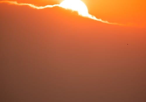 Solnedgångskryssning med vinprovning